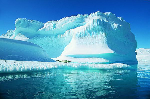 Около 3,6 миллионов лет назад  Арктика не была зоной вечной мерзлоты