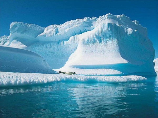 Учёные прогнозируют полное таяние льдов на Северном полюсе к 2054-2058 годам
