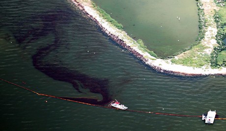 Бактерии "переварили" нефть из Мексиканского залива
