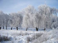 Зима в Украине не будет холодной - эксперт