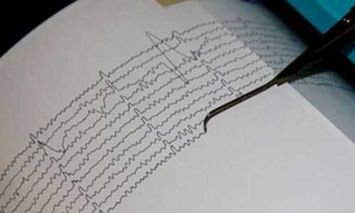 Землетрясение неизвестной магнитуды прошло на Камчатке