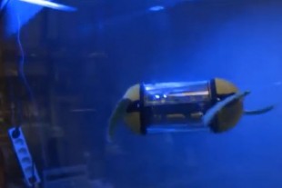 Таллиннские инженеры создали подводного робота-черепаху