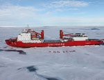 Китайский ледокол застрял во льдах после спасения ученых с НИС "Академик Шокальский"