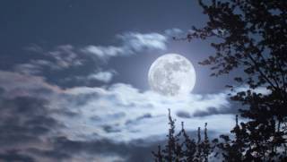 Темная сторона Луны оказалась бирюзовой, выяснили астрономы