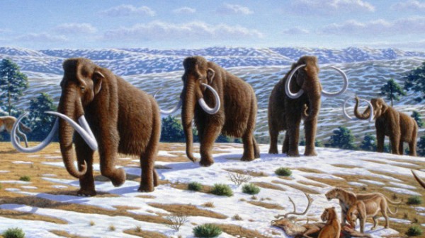 Ученые: Причиной вымирания мамонтов стал не климат, а первобытные люди