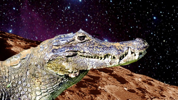 На Марсе нашли замороженных крокодилов
