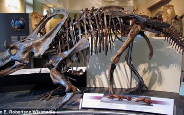 Обнаружен новый вид рогатого динозавра, названный «ужасная рука»