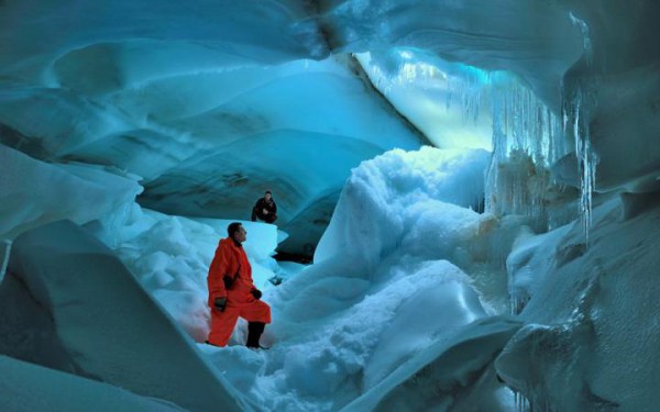 В Антарктиде обнаружены следы древнего леса