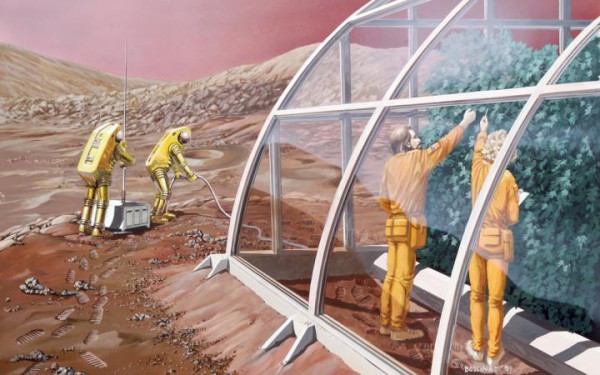 Марсоход станет огородом для выращивания овощей и фруктов во время полета на Марс