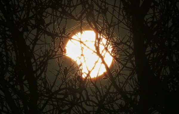 Солнечное затмение будет видно в России с 12.00 до 14.30 мск