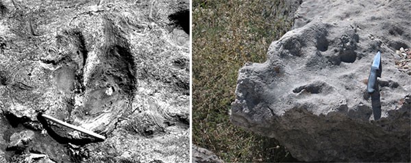 В Ташкентской области найдены следы динозавров и млекопитающих, живших в одно время
