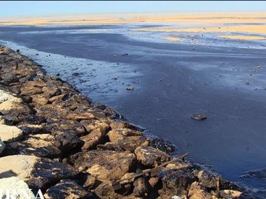 Иранский чиновник: Каспийское море больше всех загрязняет Азербайджан