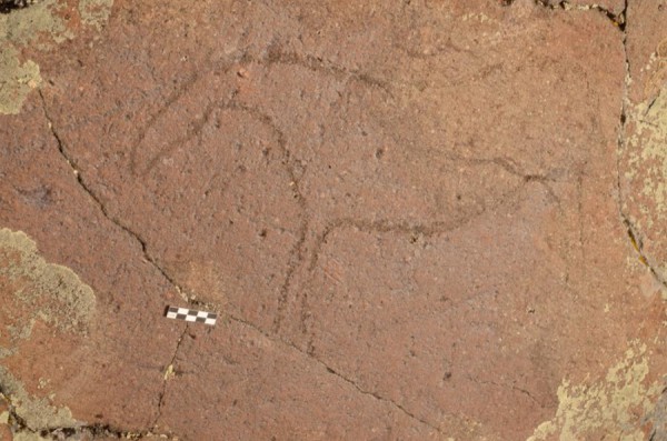 Сибиряки делали наскальные рисунки 8-10 тысяч лет назад - в палеолите