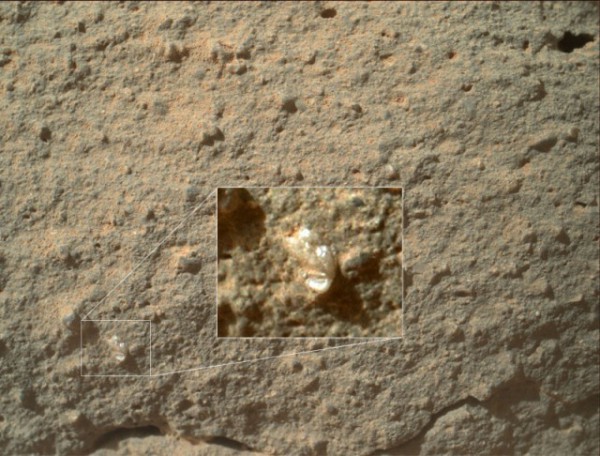 Марсоход Curiosity сфотографировал "марсианский цветок"