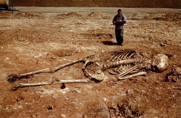 На Эквадоре найден скелет великана