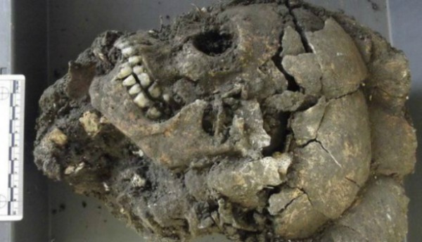 В Китае археологи нашли 68 человеческих черепов с «третьим глазом» 