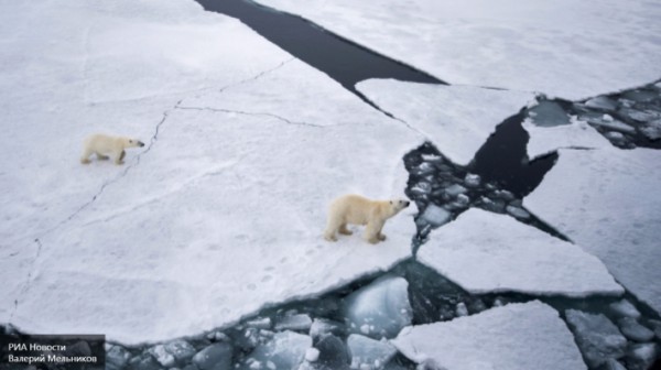 «Неледниковый» период: затопят ли планету тающие арктические льды