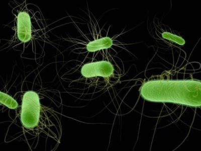 NASA проверит жизнеспособность ГМО-бактерий в космической среде