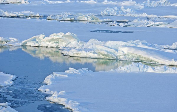 В морях Арктики лед станет сезонным явлением ближе к 2050 году 