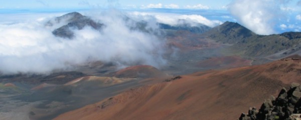 Американские ученые обнаружили на склонах гавайского вулкана новых представителей фауны