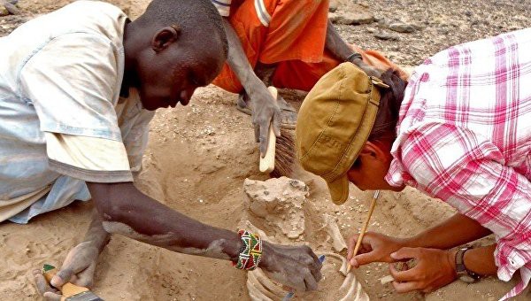 Археологи нашли следы первой войны в истории Земли