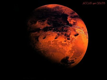 Экипажу МКС удалось вырастить грибы в марсианских условиях