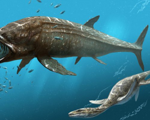 Ученые обнаружили останки доисторических рыб с большими ртами