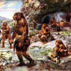 Ученые выяснили место обитания древних предков людей