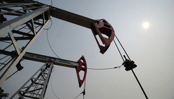 Запасы нефти в США за неделю выросли на 0,4%, до 534,8 млн баррелей 