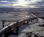Газопровод «Сила Сибири» будет строиться из особенных труб
