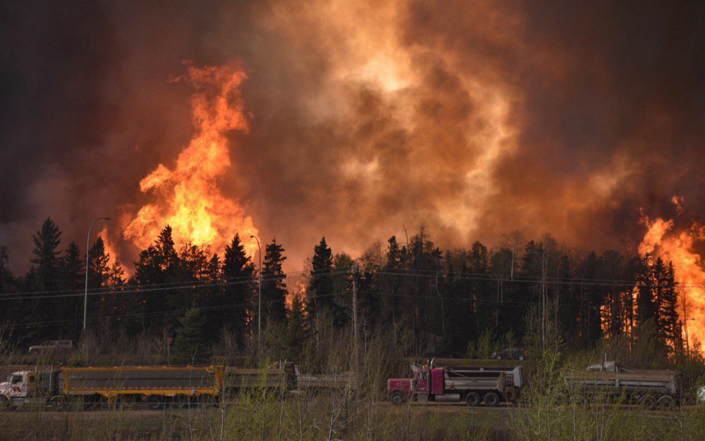 Лесные пожары в Канаде приостановили поставки нефти
