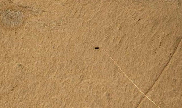 На Марсе обнаружен «живой камень»