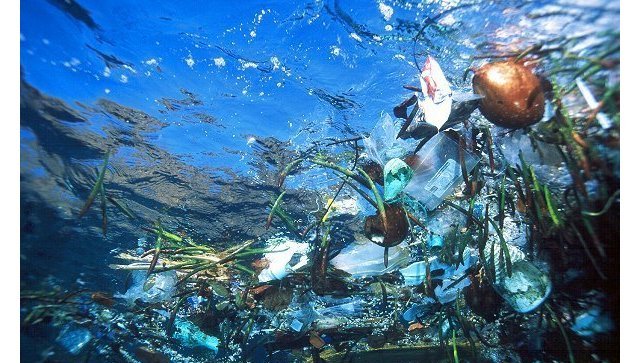В 2050 году пластика в океане будет больше, чем рыбы