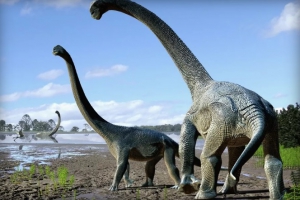 В Австралии нашли останки огромных динозавров