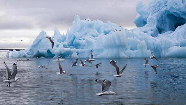 Арктический климат меняется быстрее, чем в среднем по планете
