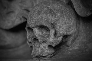 Ученые нашли черепа ископаемых предков человека неизвестных науке