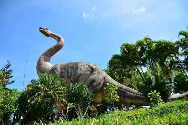 Палеонтологи открыли новый вид гигантских динозавров с перьями
