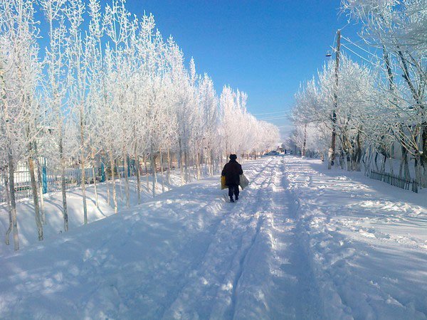 Названа причина аномальных холодов в Москве