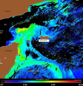 Немного о водовороте Аравийского моря