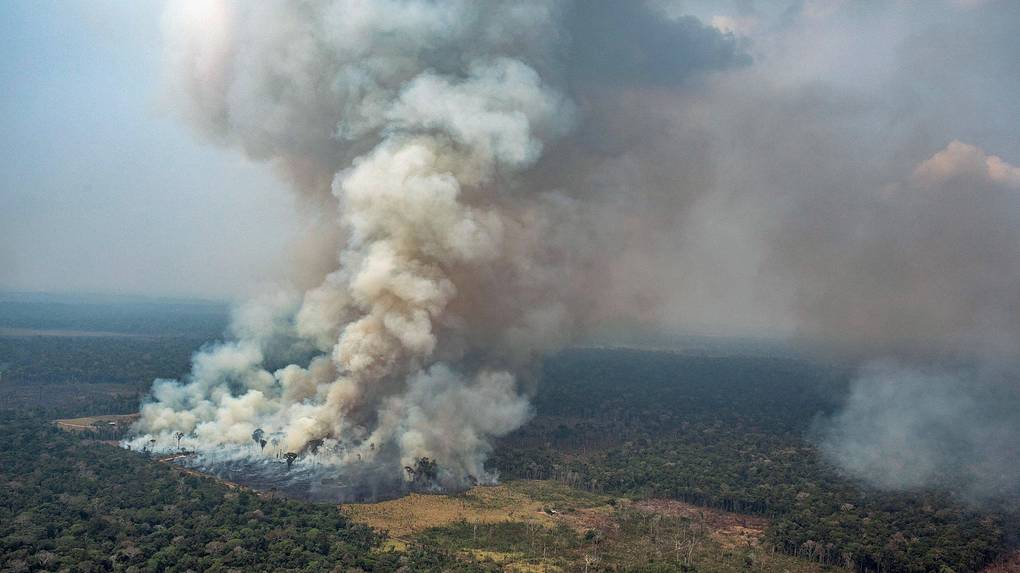 Леса Амазонии в огне
