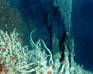 Британские ученые нашли на Карибах самые глубокие в мире гидротермальные источники