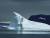 Ученые проследили жизненный путь айсберга, погубившего "Титаник"