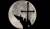 NASA будет вести онлайн-трансляцию полного лунного затмения