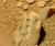 Череп динозавра обнаружен на снимке с Марса: зверь был травоядным