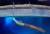 НАСА представила мягкого робота-кальмара для поиска жизни в инопланетных океанах