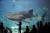 Крупнейший в Европе океанариум построили в Москве