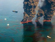 Катастрофа в Мексиканском заливе – последствия