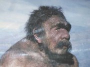 Почему погибли неандертальцы