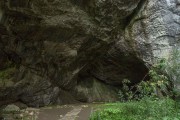 В башкирской пещере обнаружены кости гигантских пещерных львов 