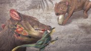 Палеонтологи нашли останки животного, поедавшего динозавров